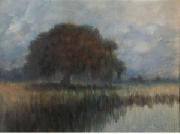 Alexander John Drysdale Oak on the Lower Coast of the Mississippi Sweden oil painting artist